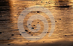 Abstract, golden sand on a beach at sunset.