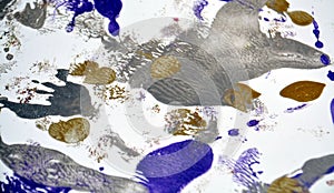 Abstract golden silver gray blue vivid abstract watercolor painting blurred spots abstract background