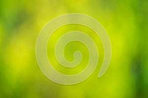 Abstract gradient blurred background