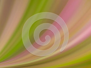 Abstract gradient Blurred colored background. Smooth transitions of iridescent pink and green colors. Colorful Rainbow backdrop