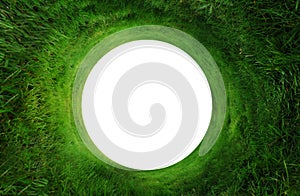 Abstract Grass Background