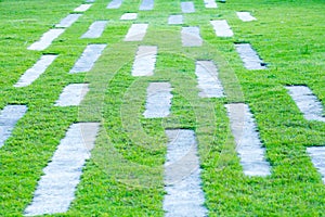 Abstract grass background with concrete pathway.