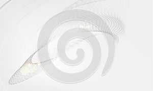 Abstract gray background. White and shadow gray smooth lines in wave form.