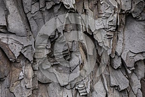 Abstract Gray Volcanic Rock Texture Background