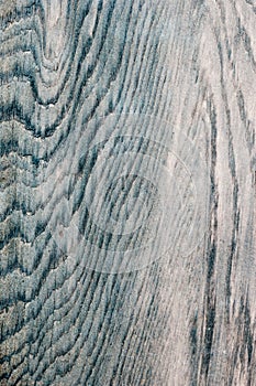 Abstract gray wood backgrounds,grain heavy