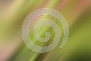 Abstract green background in digital blur motion effect. Motif pattern texture backdrop.