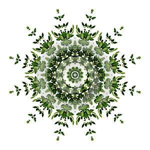 Abstract green background flora mandala pattern, wild climbing v