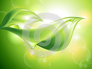 Abstract green background with leaves