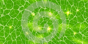 Abstract green background or plant cells texture under a microscope seamless pattern