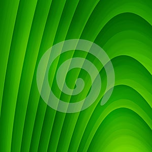 Abstract green background