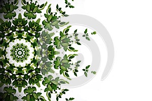 Abstract green background, wild climbing vine liana plant with k