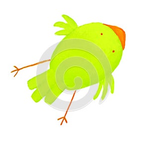 Abstract green bird
