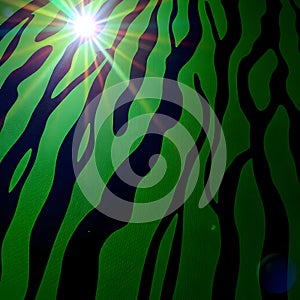 Abstract Green and Black Zebra Stripe Pattern with Bright Light