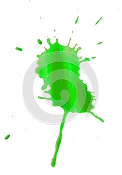 Abstract green blob blot on a white background