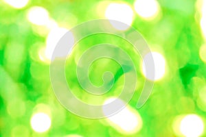 Abstract green blur white bokeh background. Blurry summer spring natural or christmas tree background with defocused bokeh lights