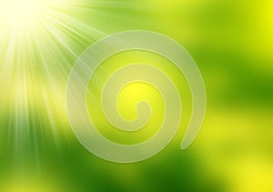 Abstract green blurry background , light effects and sun burst.