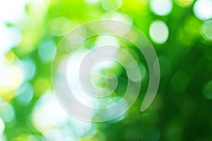 Abstract Green Bokeh Blur Background