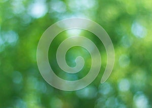 Abstract Green Bokeh Blur Background