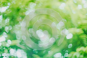 Abstract green bokeh blur background