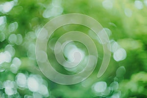 Abstract green bokeh blur background