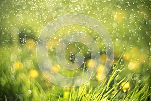 Abstract green bokeh nature background. Element of design