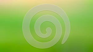 Abstract green color grandient blur background photo