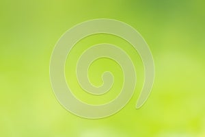 Abstract green colors blur background