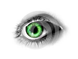 Abstract Green Eye