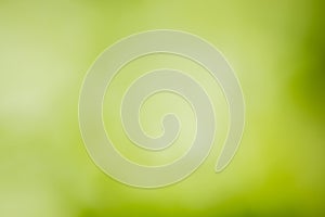 abstract green fresh background, design element