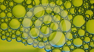 Abstract green-graded water background and transparent soap bubble pattern