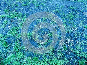 Abstract green grass texture background on the black mystic ground