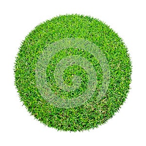 Abstract green grass texture for background. Circle green grass pattern isolated on white background with clipping path