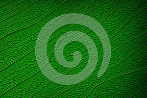 Abstract green leaf background texture. Generative-AI