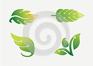 Abstract green leaf logo set design template