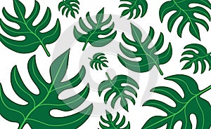 Abstract green leaf of natural leaves clipart or drawing isolated on white background