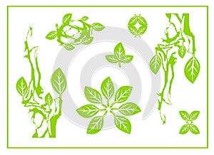 Abstract green leaf, spa, tribal symbol,  yoga, circle leaf sing, nature design, green tea