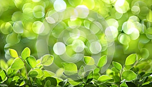 Abstract green light bokeh background in a blurred effect ideal for artistic design projects