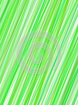 Abstract green lines cover