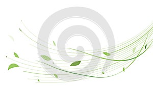 Abstract green lines floral vector background. Vector illustration