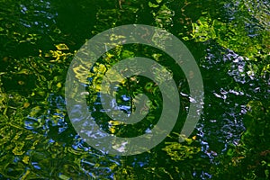 Abstract green nature reflection on rippled water topview image