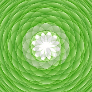 Abstract green ornament