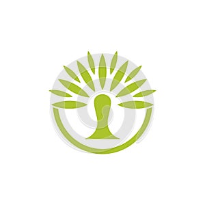 Abstract green palm tree circle logo vector
