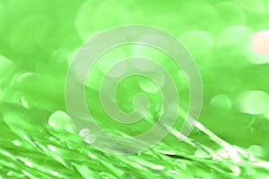 Abstract green shiny mylar strips with blurry background photo