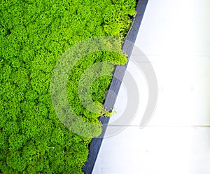 Abstract green stabilized moss surface decoration background photo