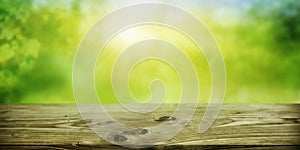 Abstract green sunny spring background