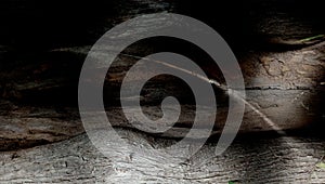 Abstract grey shaded wood textured background with lighting effects. wallpaper.