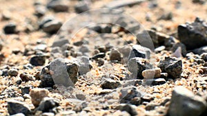 Abstract ground texture background. Macro photography.