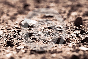 Abstract ground texture background. Macro photography.