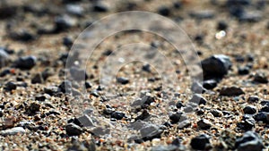 Abstract ground texture background. Macro photography.