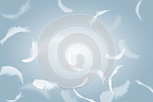 Abstract Group of White Bird Feathers Flying in The Sky. Feathers Floating in Heavenly